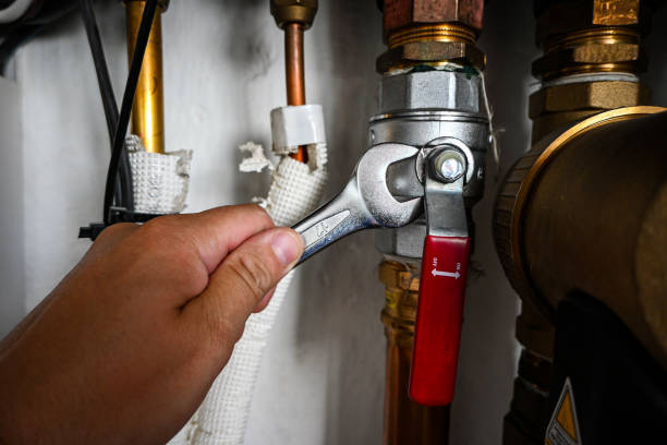 Best Clogged Drain Plumber  in Warrington, FL